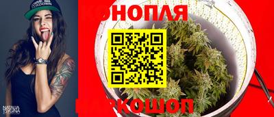 стафф Донецк