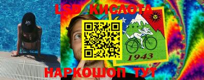 стафф Донецк