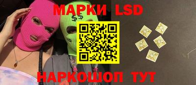 стафф Донецк