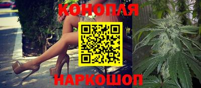 стафф Донецк