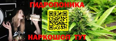 стафф Донецк