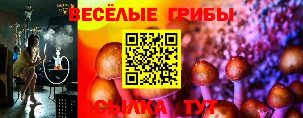 Галлюциногенные грибы Cubensis  Вход с VPN  Псилоцибиновые грибы ЛСД  Миллерово 